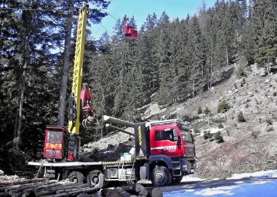 Stavebná technika na odstraňovaní stromov v lese na Slovensku.