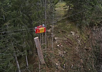 Oprava elektrického vedenia v lese s vysokým napätím.